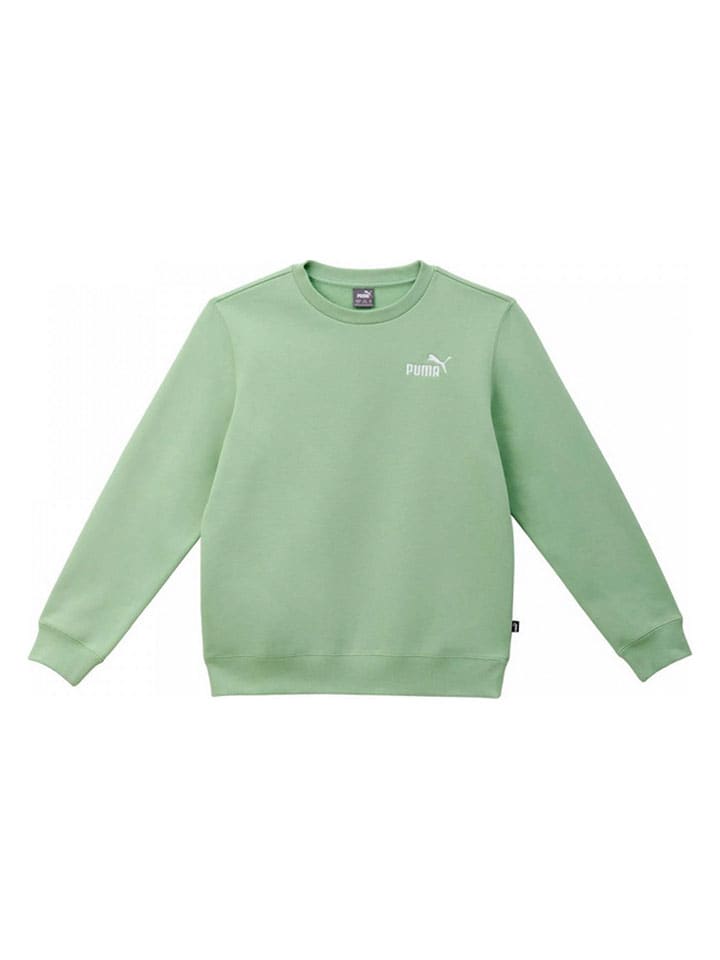 Puma Зеленая толстовка
Puma Зеленая толстовка