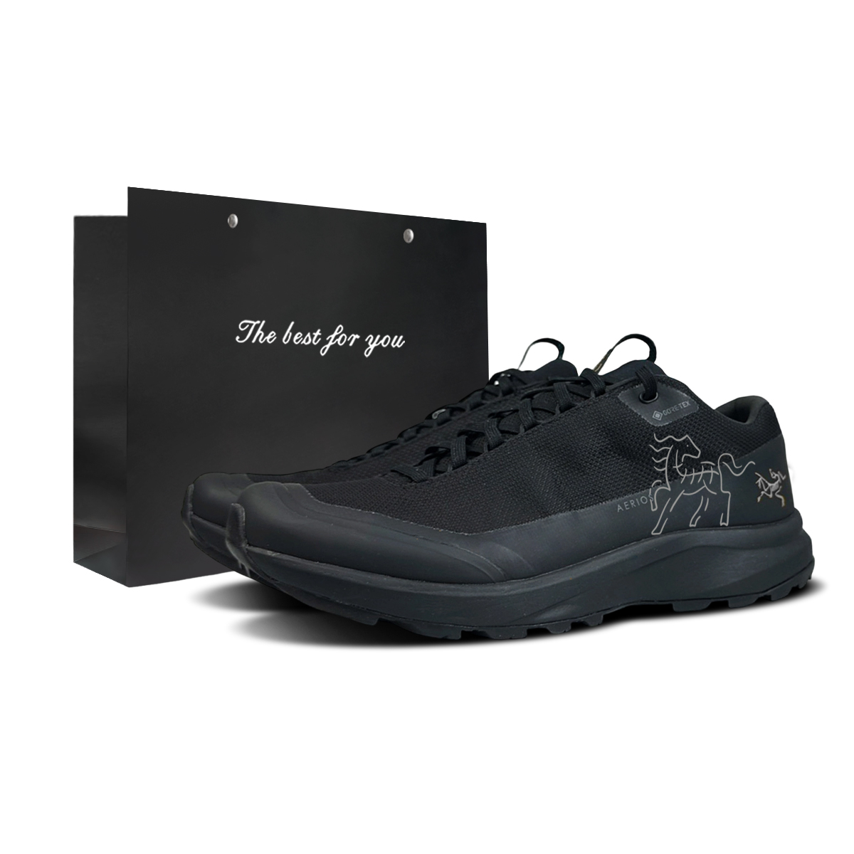 AERIOS FL GTX низкие кроссовки для бега мужские Arcteryx, черный-shopping bag
AERIOS FL GTX низкие кроссовки для бега мужские Arcteryx, черный-shopping bag