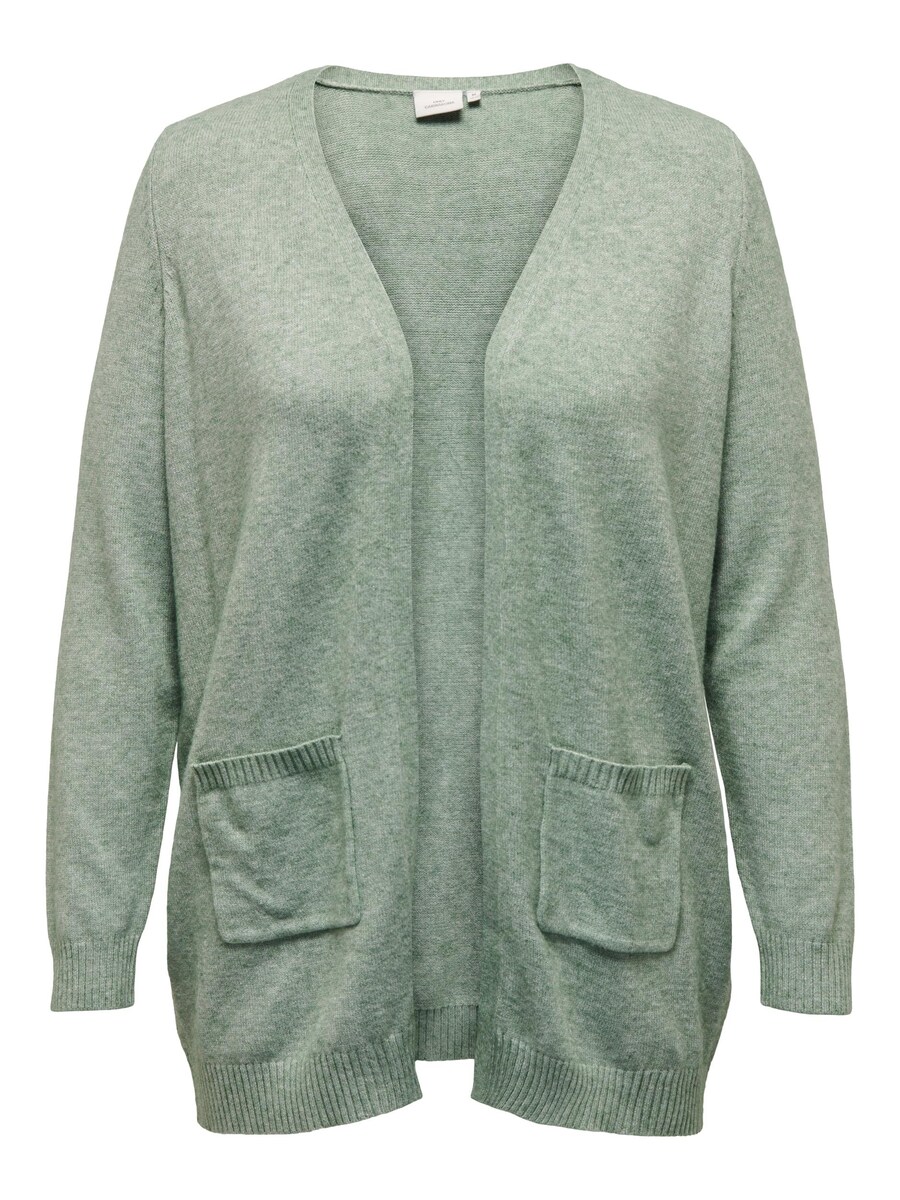 Вязаный кардиган ONLY Carmakoma Esly, мятный
Вязаный кардиган ONLY Carmakoma Esly, мятный