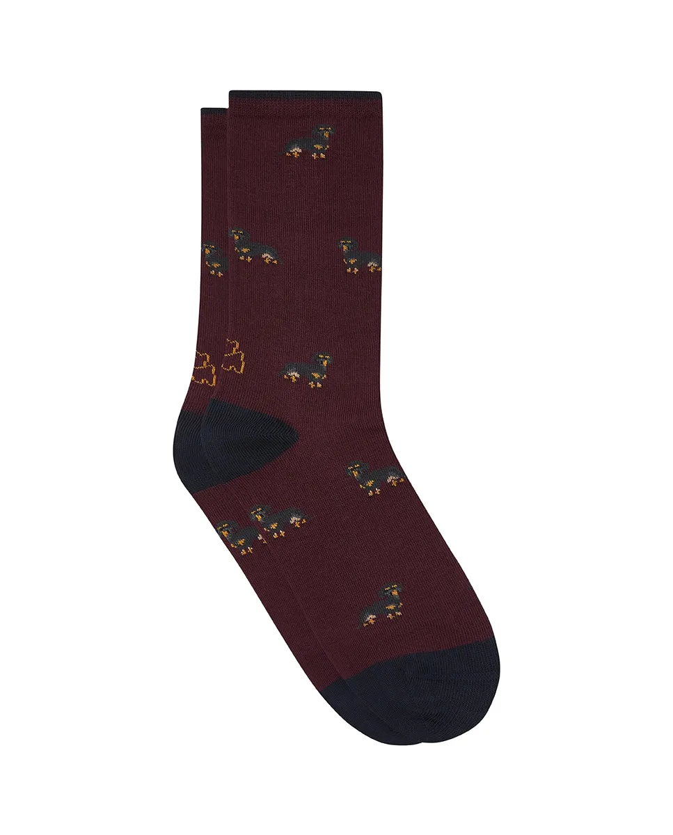 Женские обычные носки Kiff-Kiff, бордовый
Женские обычные носки Kiff-Kiff, бордовый