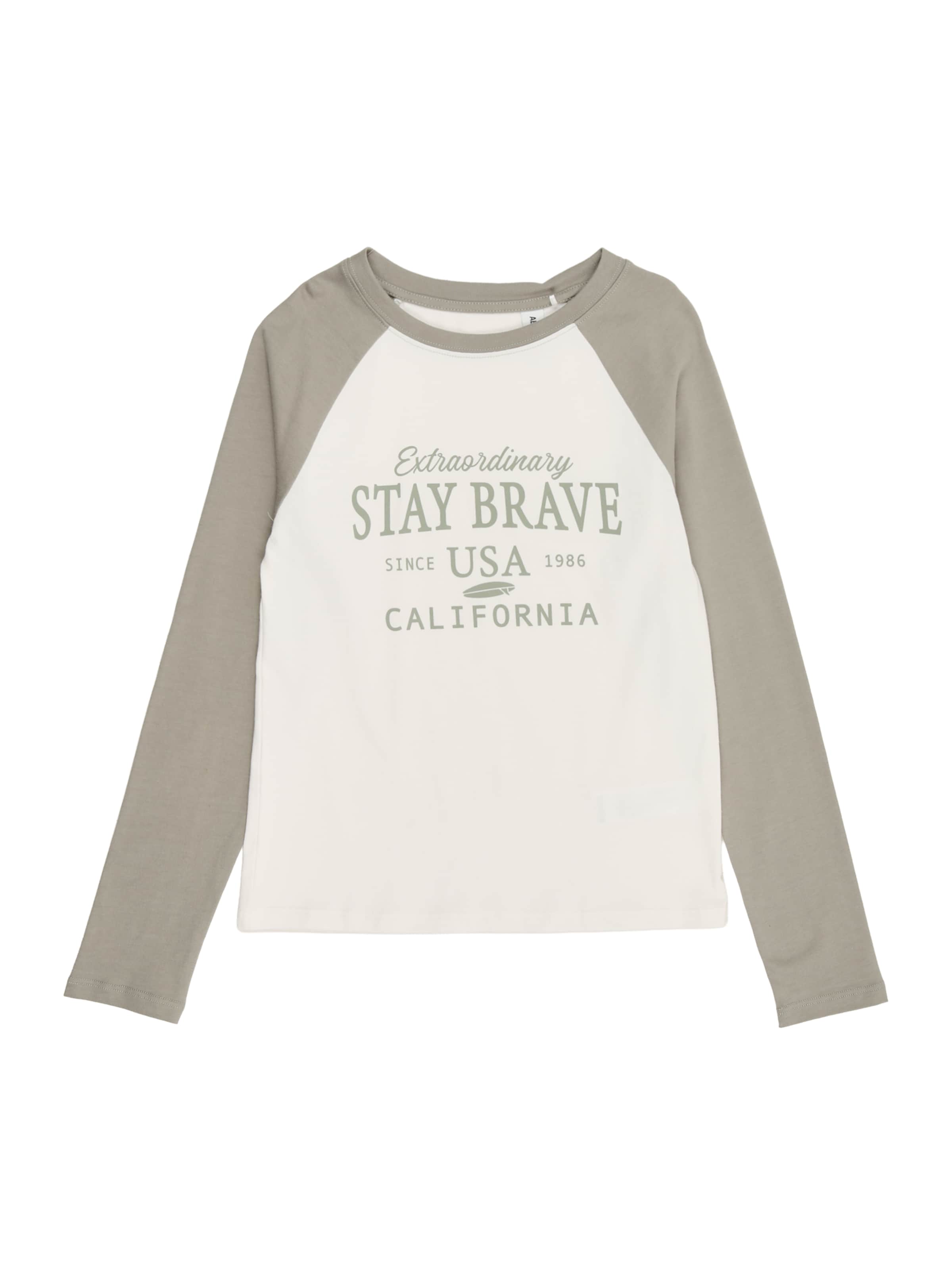 ABOUT YOU Лонгслив 'Gina' в пастельно-зеленом и белом цветах
ABOUT YOU Лонгслив 'Gina' в пастельно-зеленом и белом цветах