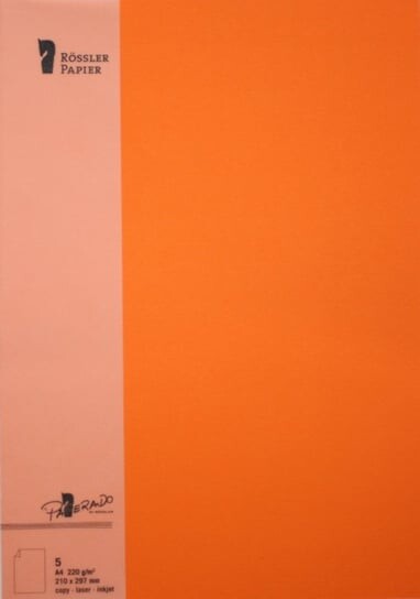 Открытка А4 На Бумаге 5 Шт. Апельсин Inna marka, Оранжевый, Открытка А4 На Бумаге 5 Шт. Апельсин Inna marka
Открытка А4 На Бумаге 5 Шт. Апельсин Inna marka, Оранжевый, Открытка А4 На Бумаге 5 Шт. Апельсин Inna marka