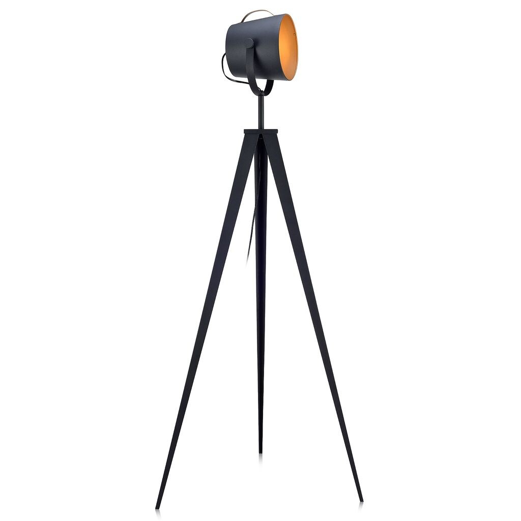Стандартный светодиодный торшер Teamson Home Tripod, черное золото, современное освещение VN-L00020-EU
Стандартный светодиодный торшер Teamson Home Tripod, черное золото, современное освещение VN-L00020-EU
