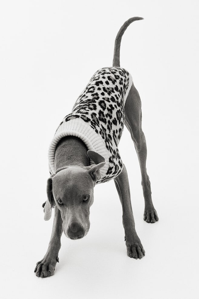 Свитер с рисунком собаки H&M, бежевый
Свитер с рисунком собаки H&M, бежевый