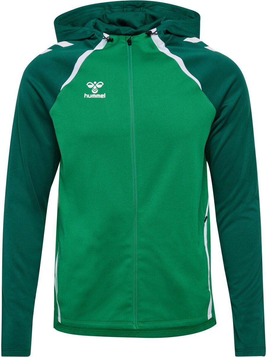 Спортивная толстовка с капюшоном на молнии Hummel Lead 2.0, цвет Green/Dark green
Спортивная толстовка с капюшоном на молнии Hummel Lead 2.0, цвет Green/Dark green