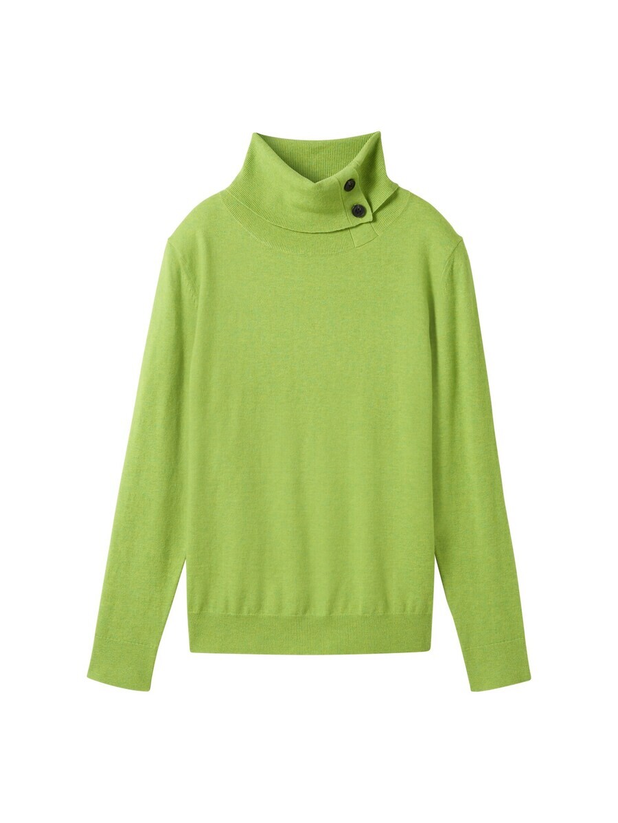 Водолазка TOM TAILOR Sweater, светло-зеленый
Водолазка TOM TAILOR Sweater, светло-зеленый