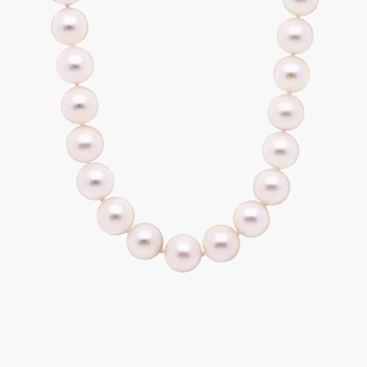 18-дюймовое ожерелье из нити культивированного жемчуга Premier Akoya с бриллиантовой застежкой из 18-каратного белого золота (8,0–8,5 мм) Blue Nile
18-дюймовое ожерелье из нити культивированного жемчуга Premier Akoya с бриллиантовой застежкой из 18-каратного белого золота (8,0–8,5 мм) Blue Nile