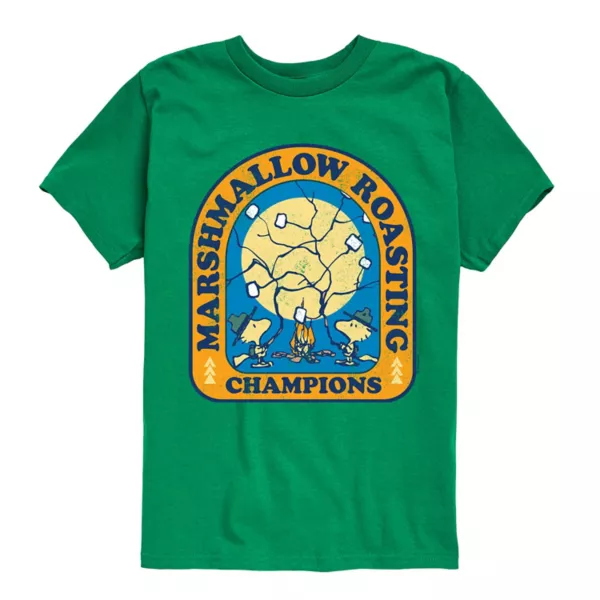 Футболка с рисунком жарки арахиса и зефира для мальчиков 8-20 лет Licensed Character, зеленый
Футболка с рисунком жарки арахиса и зефира для мальчиков 8-20 лет Licensed Character, зеленый