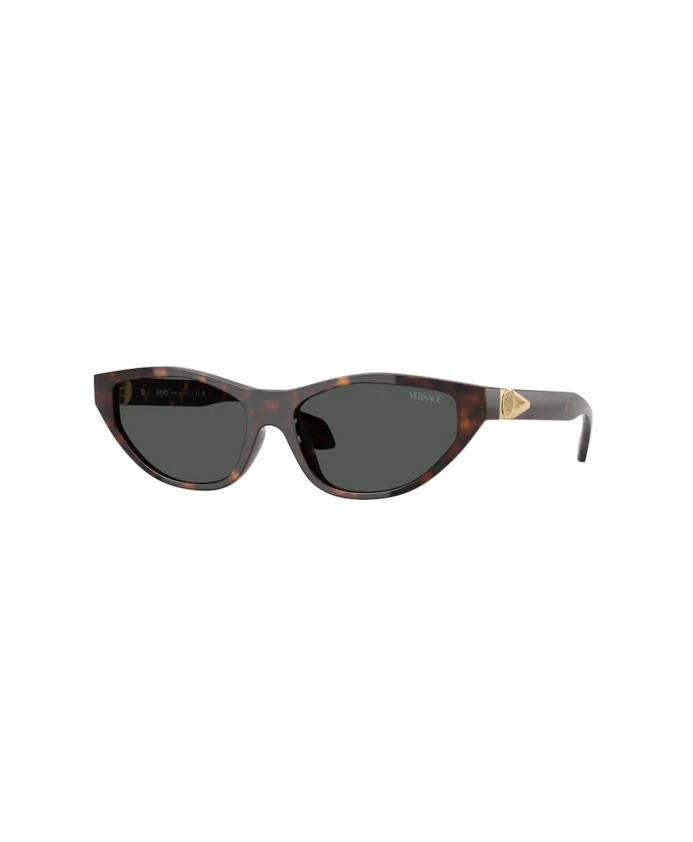 Солнцезащитные очки Ve4491U Versace, коричневый
Солнцезащитные очки Ve4491U Versace, коричневый