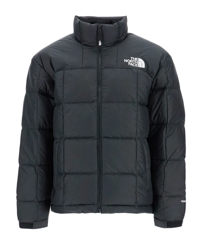 Городская пуховая куртка с цветовыми блоками The North Face, черный
Городская пуховая куртка с цветовыми блоками The North Face, черный