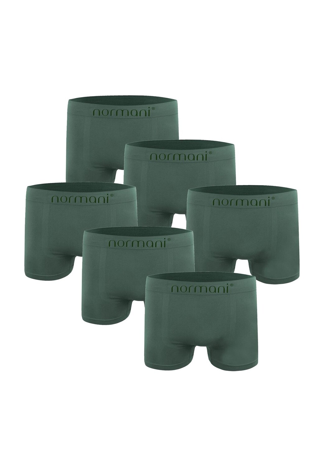 Набор из 6 мужских боксеров из нейлоновой микрофибры normani, цвет Oliv
Набор из 6 мужских боксеров из нейлоновой микрофибры normani, цвет Oliv