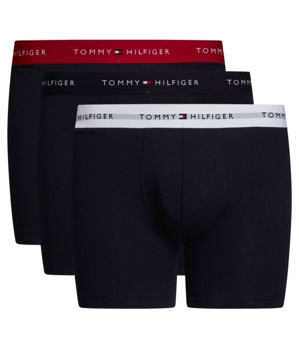 Трусы мужские Tommy Hilfiger боксеры хлопковые 3 шт, черный
Трусы мужские Tommy Hilfiger боксеры хлопковые 3 шт, черный