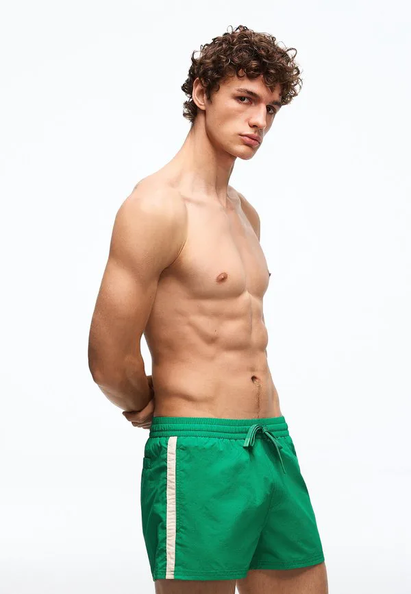 Ретро-Плавки Bershka, Mottled Dark Green, Зеленый, Ретро-Плавки Bershka, Mottled Dark Green
Ретро-Плавки Bershka, Mottled Dark Green, Зеленый, Ретро-Плавки Bershka, Mottled Dark Green