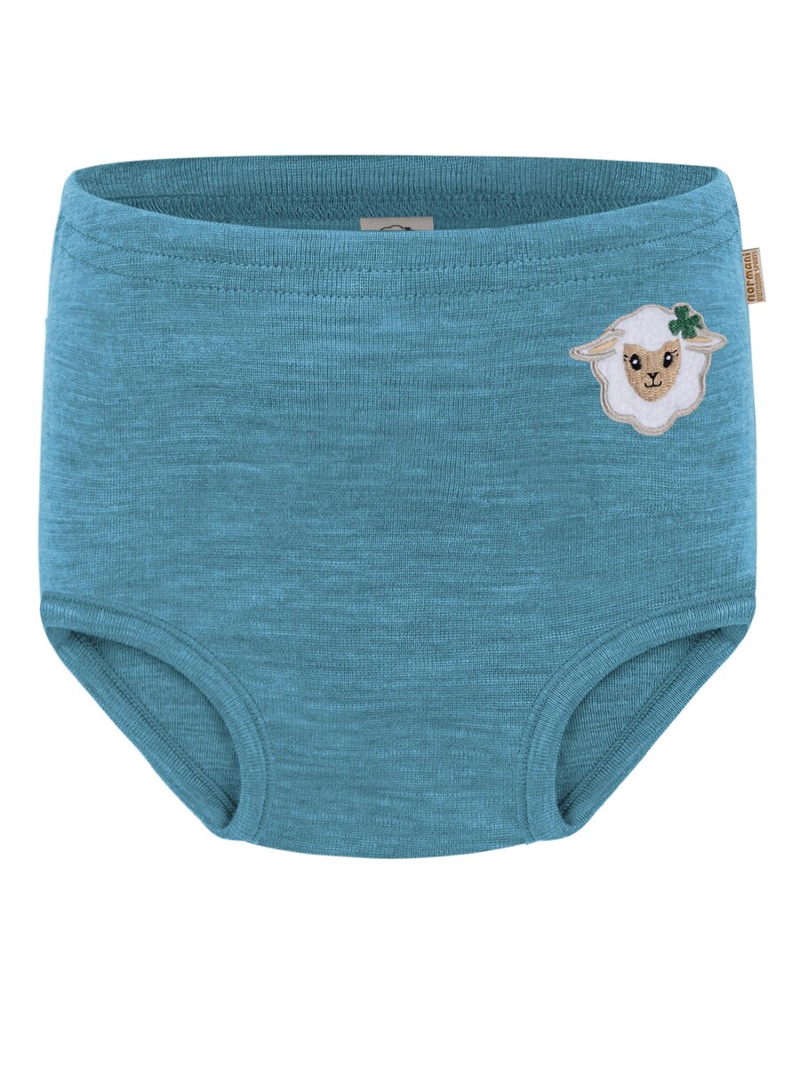 Трусы normani Tokoroa, синий
Трусы normani Tokoroa, синий