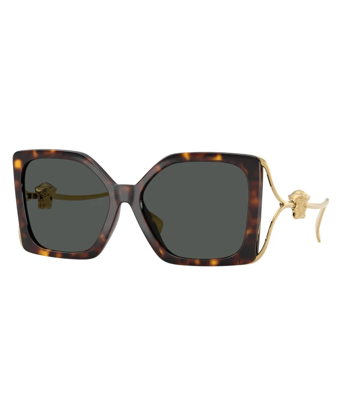 Солнцезащитные очки Ve4502U Versace, коричневый
Солнцезащитные очки Ve4502U Versace, коричневый