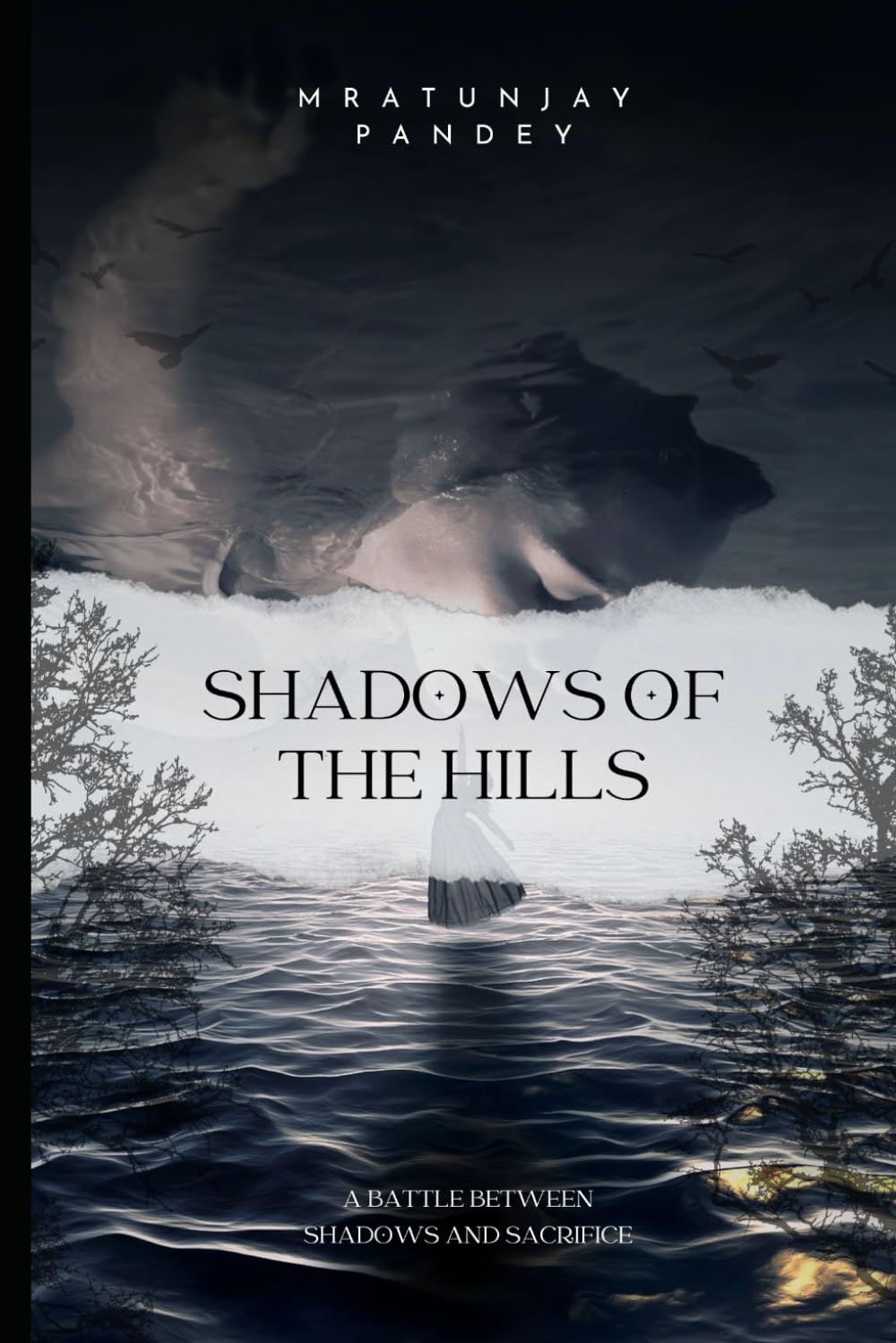 SHADOWS OF THE HILLS: A Battle Between Shadows and Sacrifice (Independently published)
SHADOWS OF THE HILLS: A Battle Between Shadows and Sacrifice (Independently published)