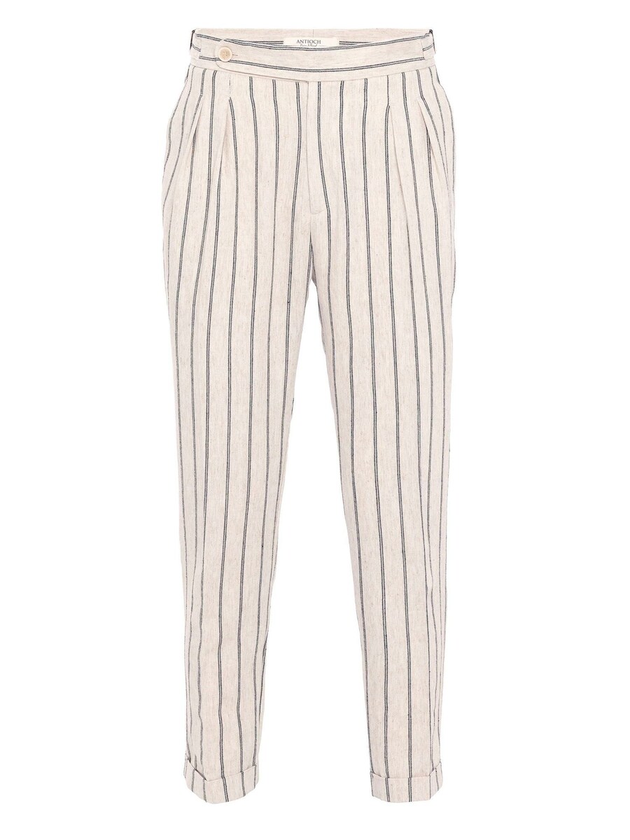 Обычные брюки со складками спереди Antioch, бежевый
Обычные брюки со складками спереди Antioch, бежевый