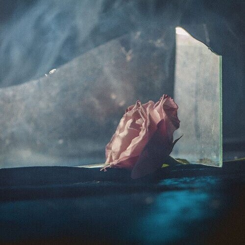 Виниловая пластинка Ranaldo, Lee - In Virus Times
Виниловая пластинка Ranaldo, Lee - In Virus Times