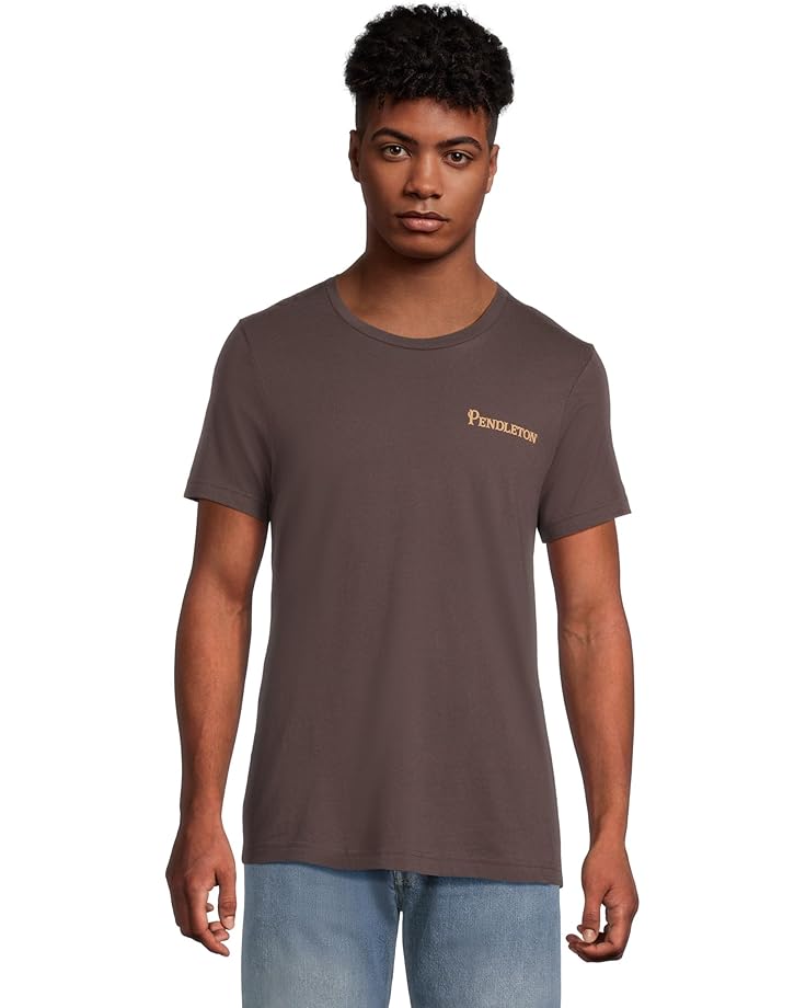 Мужская футболка Pendleton Yakima Camp Graphic, Brown/Multi, Коричневый, Мужская футболка Pendleton Yakima Camp Graphic, Brown/Multi
Мужская футболка Pendleton Yakima Camp Graphic, Brown/Multi, Коричневый, Мужская футболка Pendleton Yakima Camp Graphic, Brown/Multi