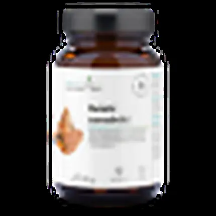 Споры рейши 800 мг + витамин С 60 капсул, Aura Herbals
Споры рейши 800 мг + витамин С 60 капсул, Aura Herbals