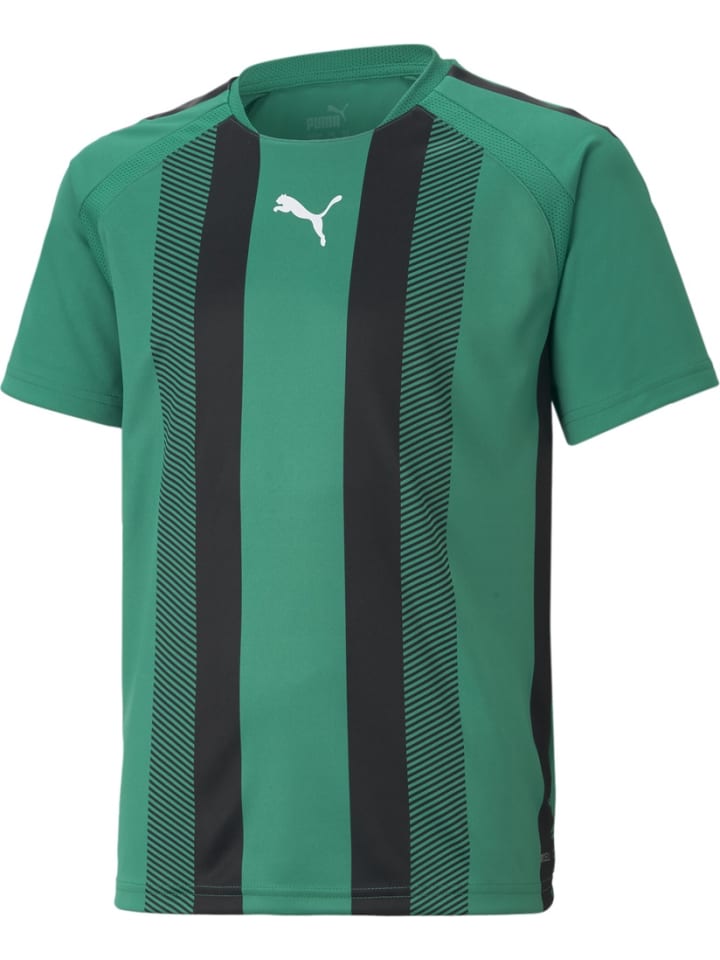 Puma Спортивная футболка "TeamLIGA Striped Jersey Jr" зеленого цвета
Puma Спортивная футболка "TeamLIGA Striped Jersey Jr" зеленого цвета