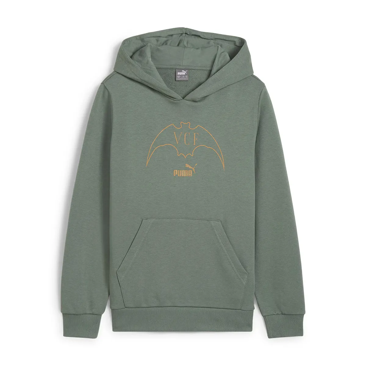 Valencia CF Culture Толстовка с капюшоном Jr Puma Детская толстовка, зеленый
Valencia CF Culture Толстовка с капюшоном Jr Puma Детская толстовка, зеленый