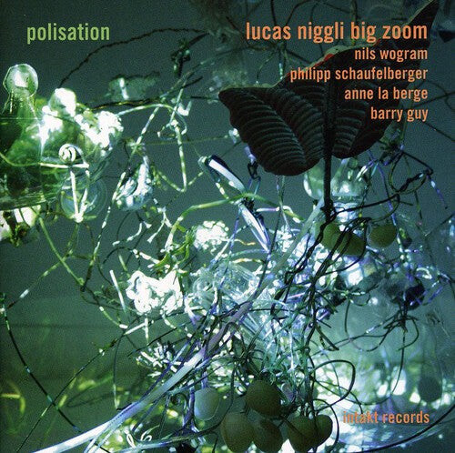 CD диск Niggli: Polisation
CD диск Niggli: Polisation