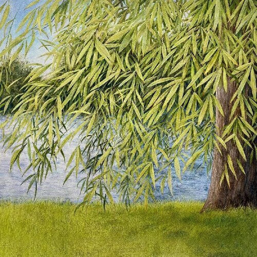 CD диск Simpson, Martin / Jutz, Thomm: Nothing But Green Willow : The Songs Of Mary Sands And Jane Gentry
CD диск Simpson, Martin / Jutz, Thomm: Nothing But Green Willow : The Songs Of Mary Sands And Jane Gentry