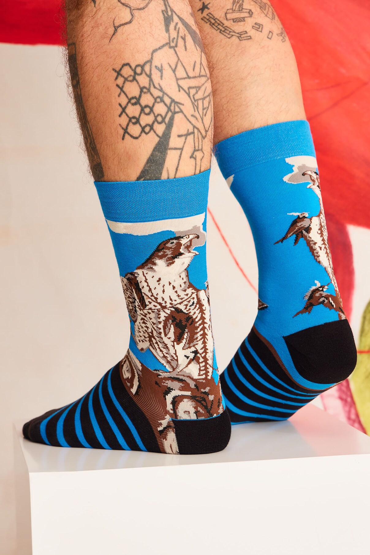 Носки хлопковые 2 шт. в упаковке Medicine, мультиколор
Носки хлопковые 2 шт. в упаковке Medicine, мультиколор