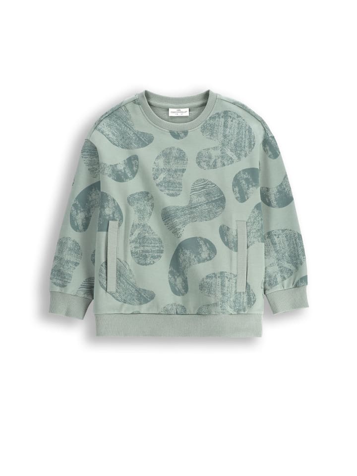 Толстовка Coccodrillo, хаки
Толстовка Coccodrillo, хаки