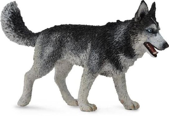 Collecta, Коллекционная статуэтка, Собака сибирский хаски
Collecta, Коллекционная статуэтка, Собака сибирский хаски