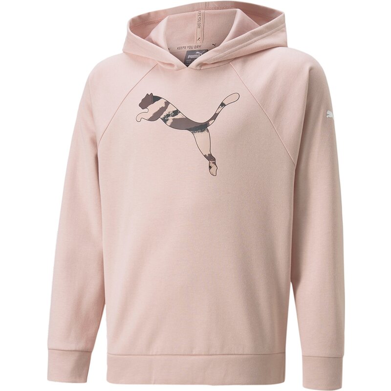 Современная спортивная толстовка Kapuzensweat g Puma, розовый
Современная спортивная толстовка Kapuzensweat g Puma, розовый