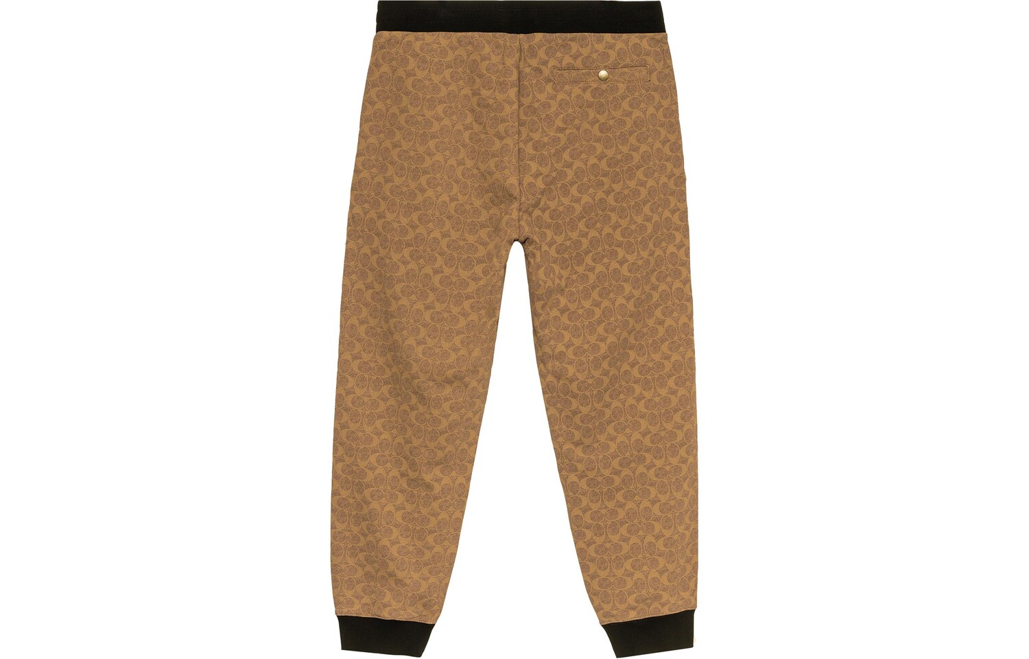 Мужские трикотажные спортивные штаны COACH, цвет Brown
Мужские трикотажные спортивные штаны COACH, цвет Brown