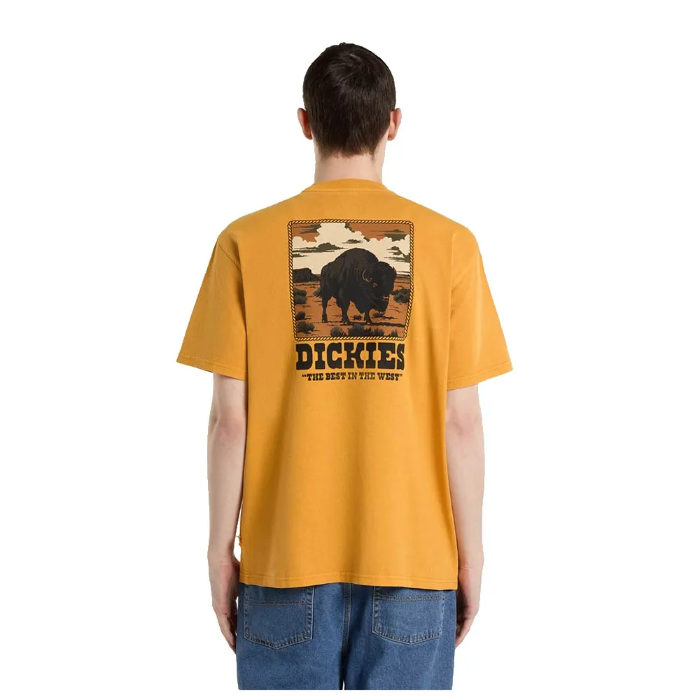 Футболка с коротким рукавом Dickies Darrtown, желтый
Футболка с коротким рукавом Dickies Darrtown, желтый