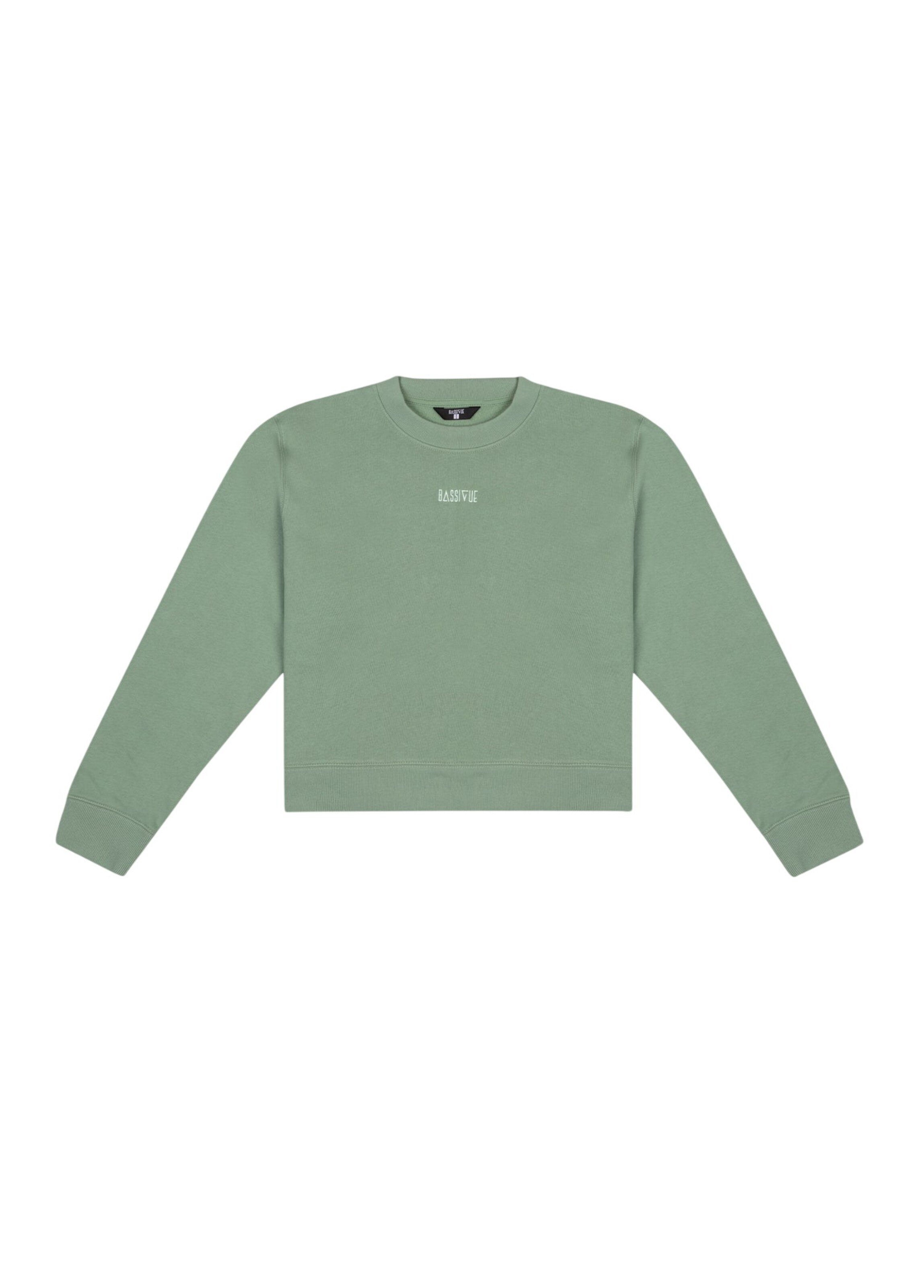 BASSIGUE Свитшот в зеленом цвете, Зеленый, BASSIGUE Свитшот в зеленом цвете
BASSIGUE Свитшот в зеленом цвете, Зеленый, BASSIGUE Свитшот в зеленом цвете