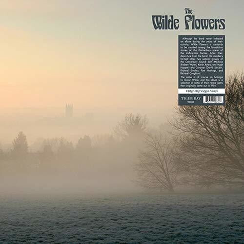 Виниловая пластинка Wilde Flowers: The Wilde Flowers
Виниловая пластинка Wilde Flowers: The Wilde Flowers