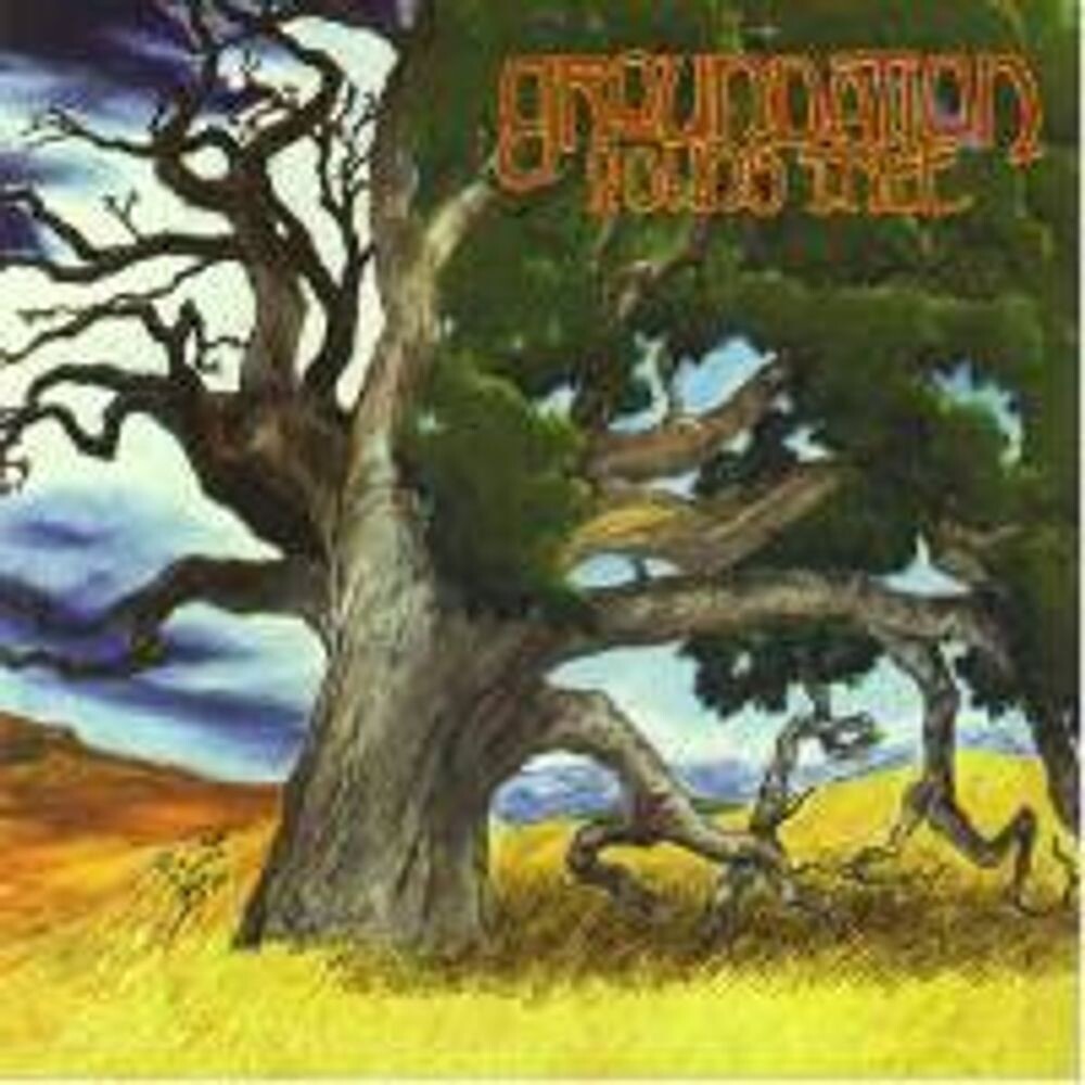 Диск CD Young Tree - Groundation
Диск CD Young Tree - Groundation