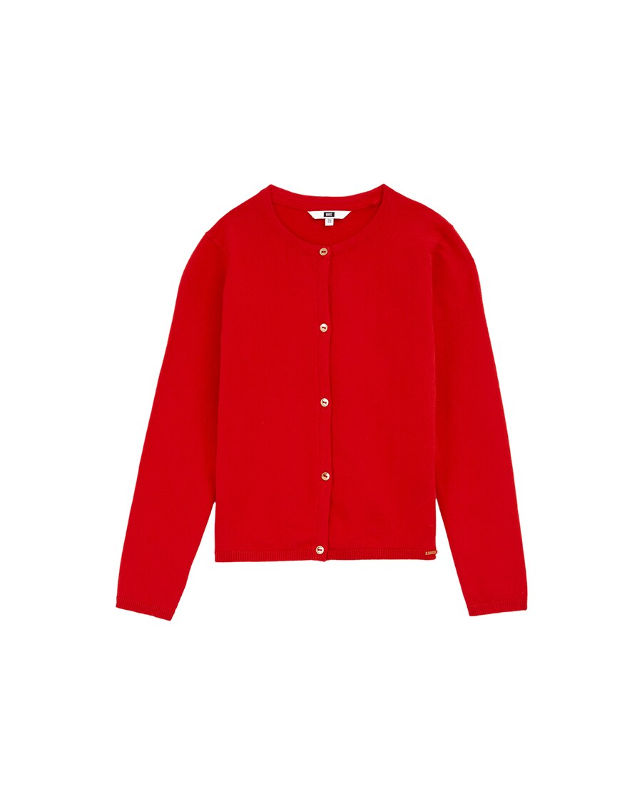 Вязаный кардиган WE Fashion, красный
Вязаный кардиган WE Fashion, красный