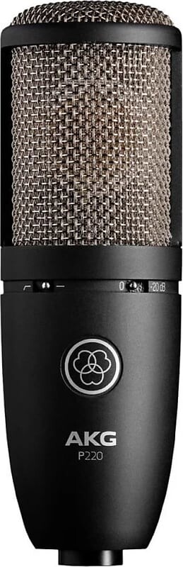 Микрофон AKG P220 Large Diaphragm Cardioid Condenser Microphone
Микрофон AKG P220 Large Diaphragm Cardioid Condenser Microphone