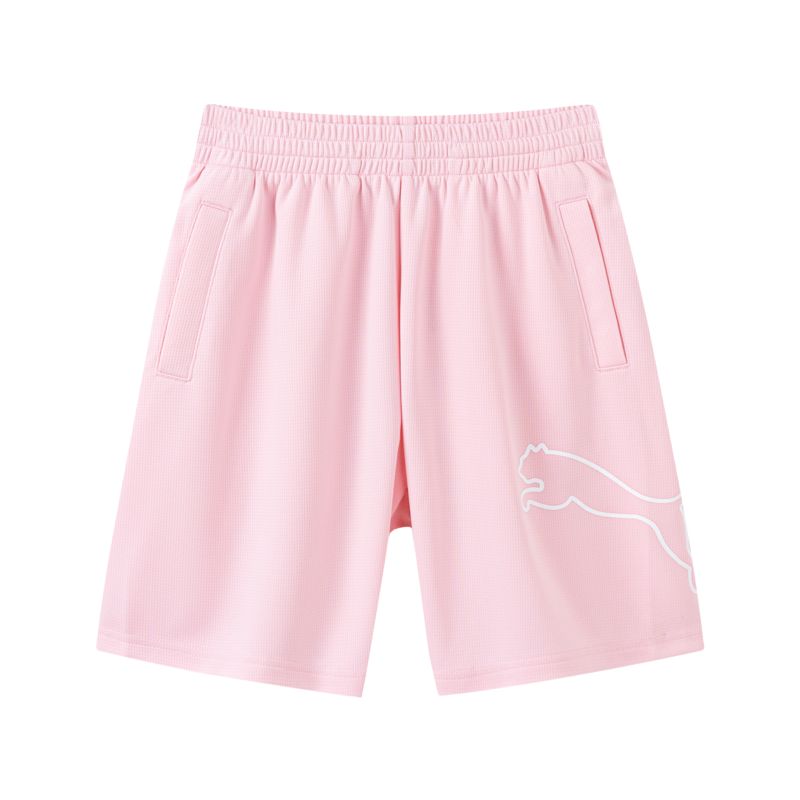 PUMA Спортивные шорты Sportstyle Series Pink
PUMA Спортивные шорты Sportstyle Series Pink