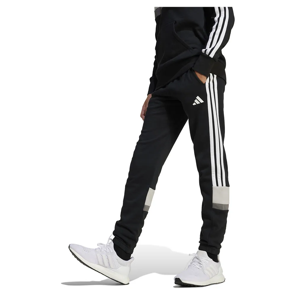 Джоггеры adidas Seasonal Essentials Tiberio 3 Stripes Fleece, черный
Джоггеры adidas Seasonal Essentials Tiberio 3 Stripes Fleece, черный