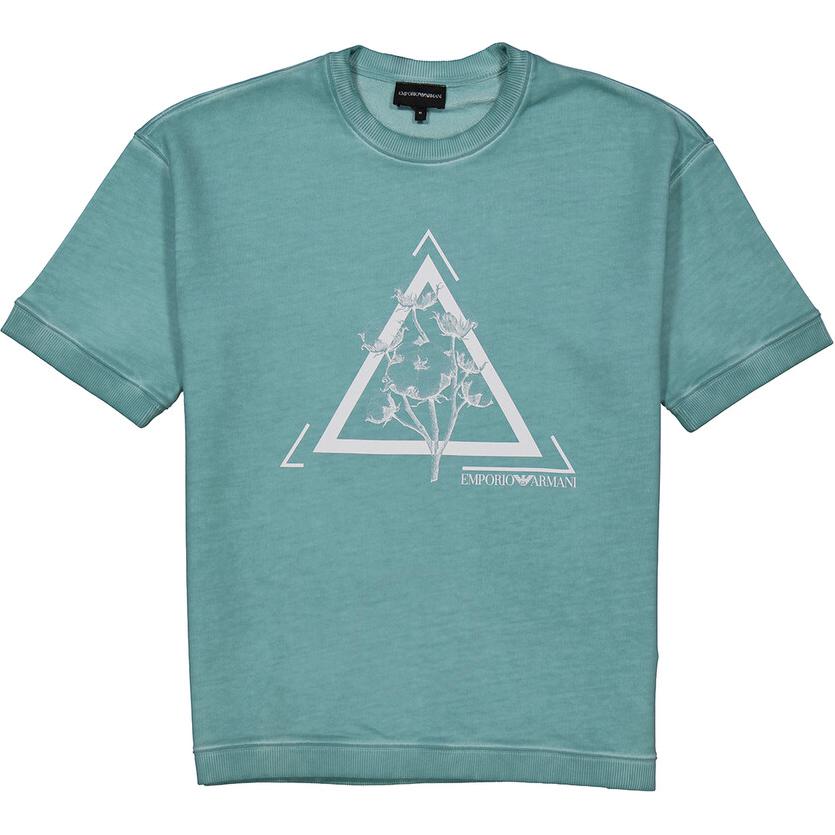 EMPORIO ARMANI Футболка мужская сине-зеленая
EMPORIO ARMANI Футболка мужская сине-зеленая