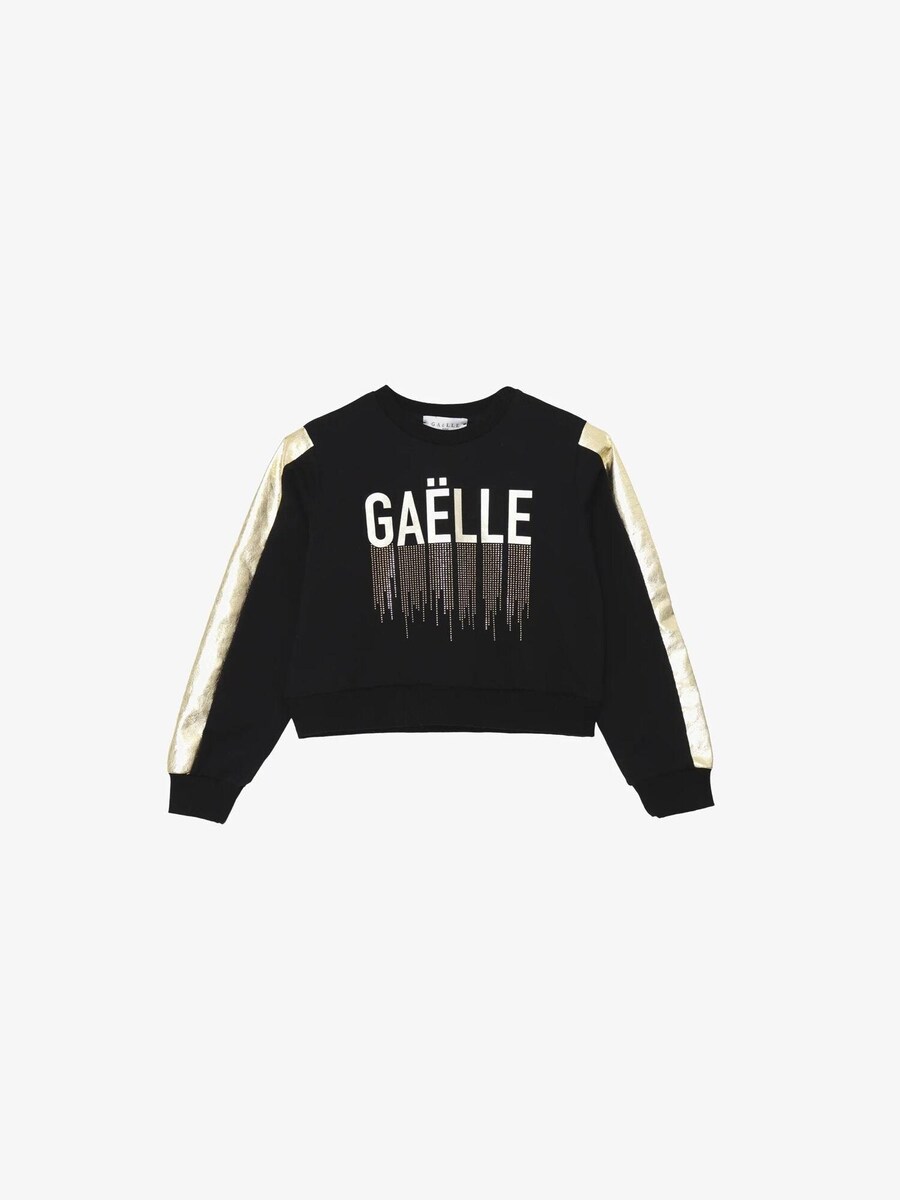 Толстовка Gaelle Paris Mercury, черный
Толстовка Gaelle Paris Mercury, черный