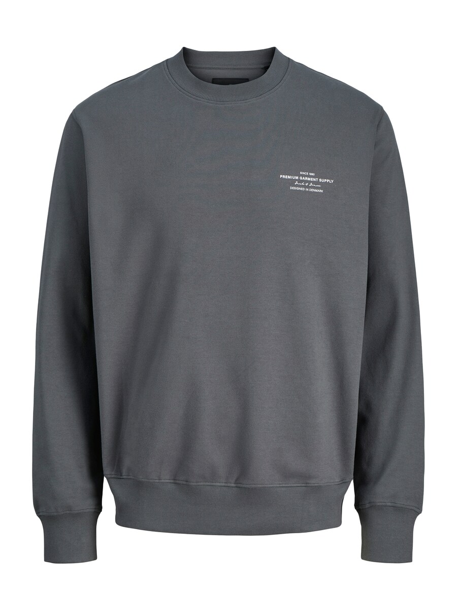 Толстовка JACK & JONES JACK & JONES JPRCCCHAD, Dark grey
Толстовка JACK & JONES JACK & JONES JPRCCCHAD, Dark grey