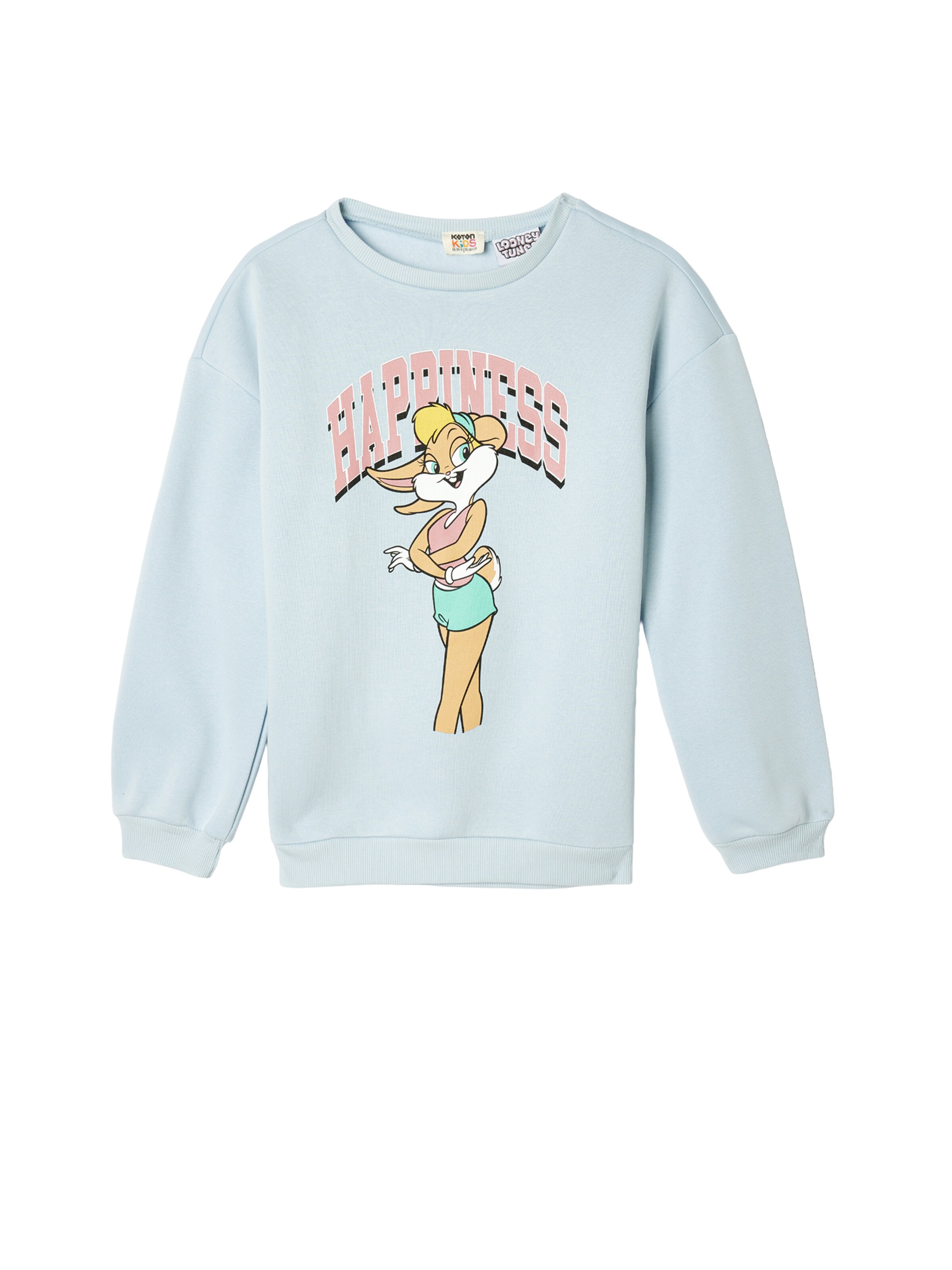 Koton Свитшот в светло-голубом цвете
Koton Свитшот в светло-голубом цвете