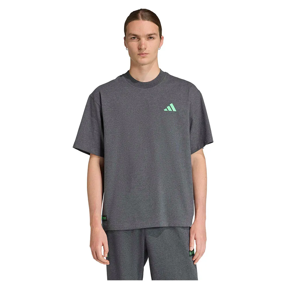 Футболка adidas Mercedes-AMG Petronas Formula One Team Premium Sweat, серый 
Футболка adidas Mercedes-AMG Petronas Formula One Team Premium Sweat, серый