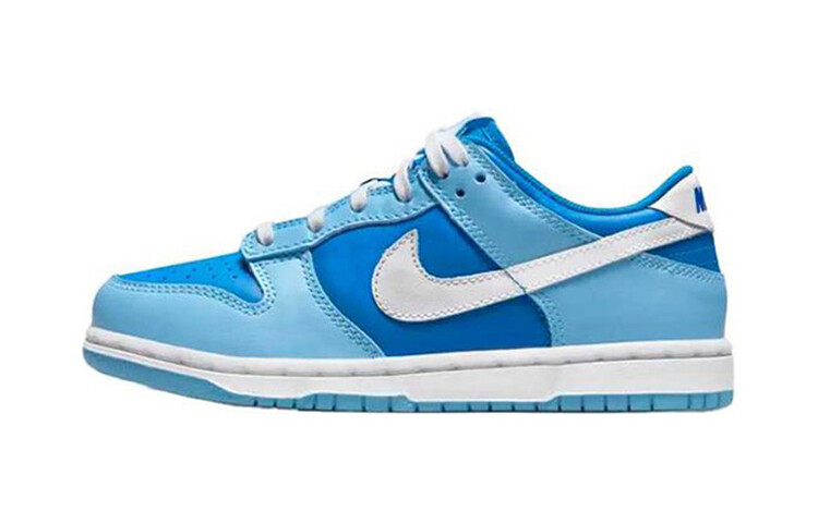 Nike Dunk Low Argon (2022) (ПС) 
Nike Dunk Low Argon (2022) (ПС)