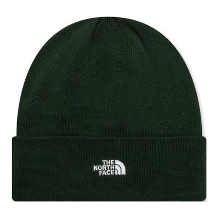 THE NORTH FACE Шапка унисекс зеленый
THE NORTH FACE Шапка унисекс зеленый