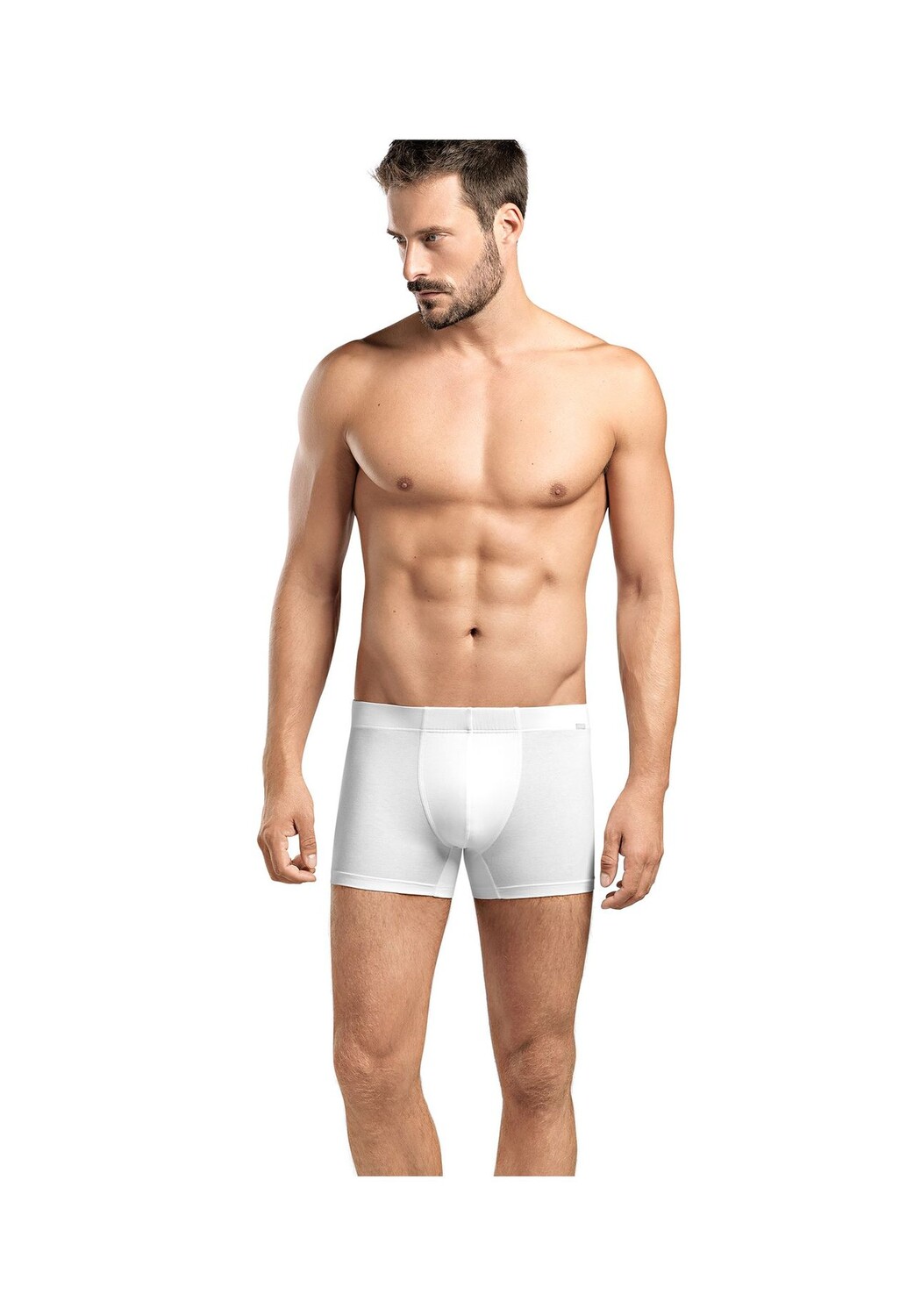 Набор из 2 боксеров в стиле ретро Cotton Essentials HANRO, цвет White Herren
Набор из 2 боксеров в стиле ретро Cotton Essentials HANRO, цвет White Herren