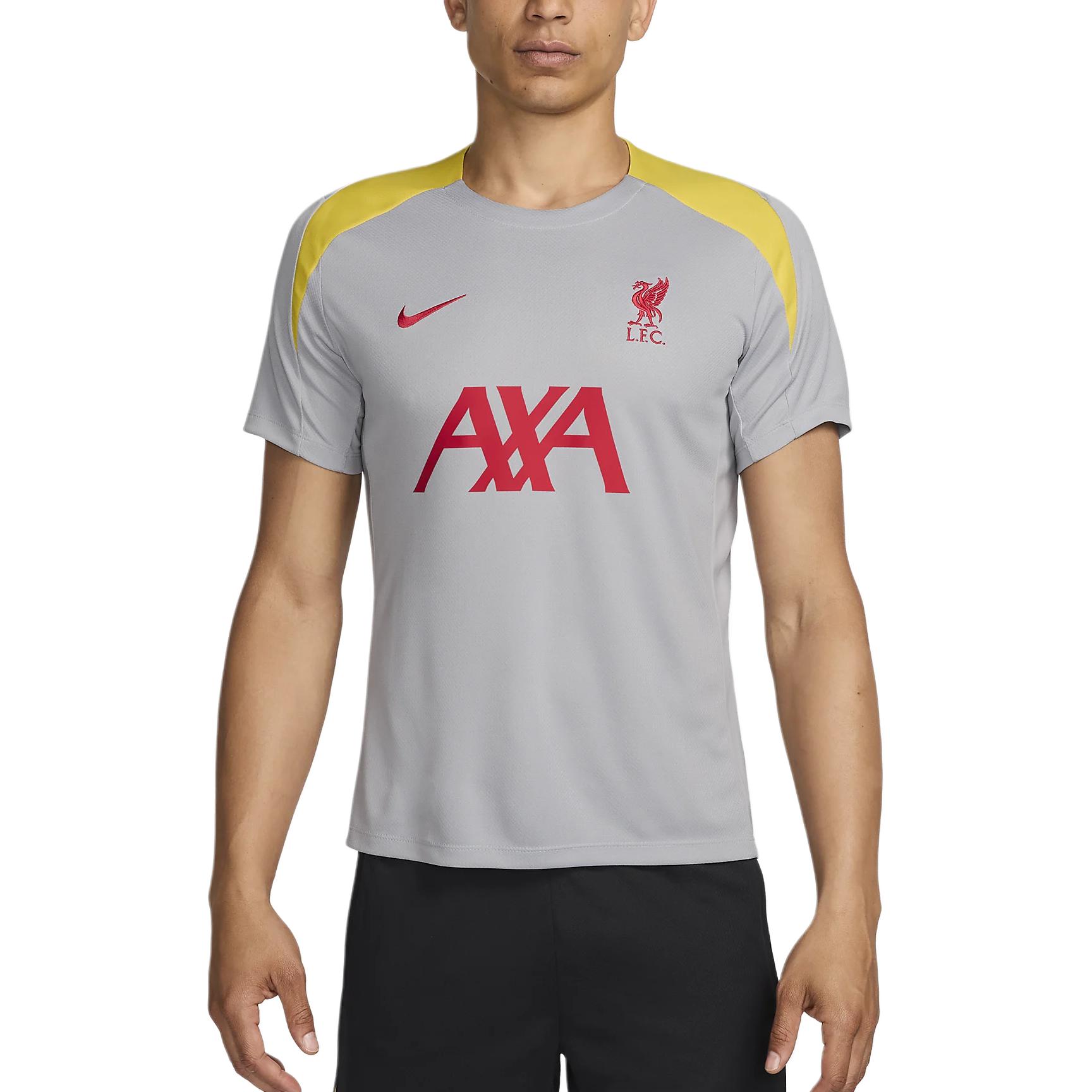 Футболка Liverpool Dri Fit FW24 F.C. Strike Third мужская Light Smoke Gray Nike, серый
Футболка Liverpool Dri Fit FW24 F.C. Strike Third мужская Light Smoke Gray Nike, серый